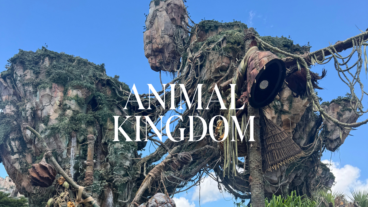 Budget Trip Animal Kingdom