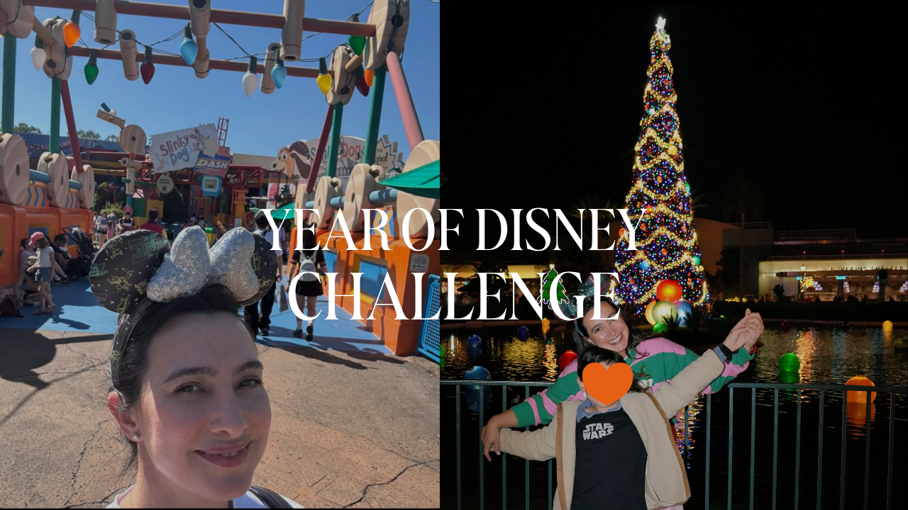 Year of Disney Challenge, Disney World
