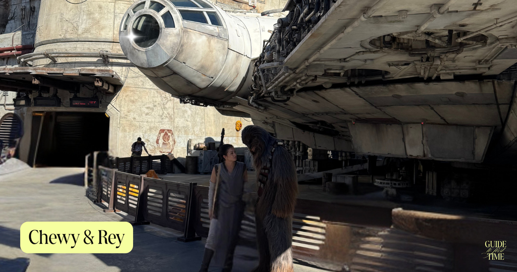 Chewbacca and Rey character meet, Star Wars Galaxy's Edge, Hollywood Studios Chewbacca and Rey Meet and Greet, Star Wars: Galaxy's Edge, Hollywood Studios