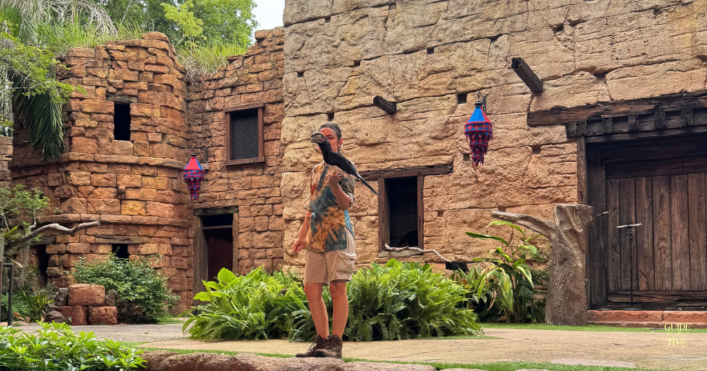 Friends in Feathers Show at Animal Kingdom