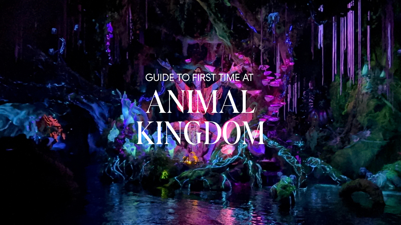 Guide to Animal Kingdom, Walt Disney World