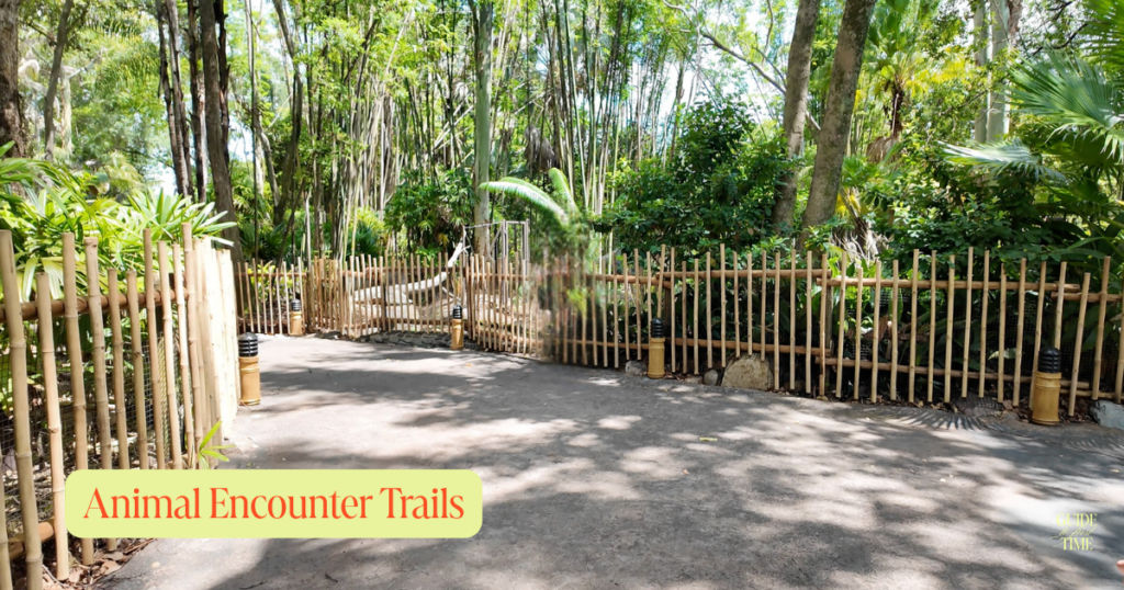 Oasis Path at Animal Kingdom Park