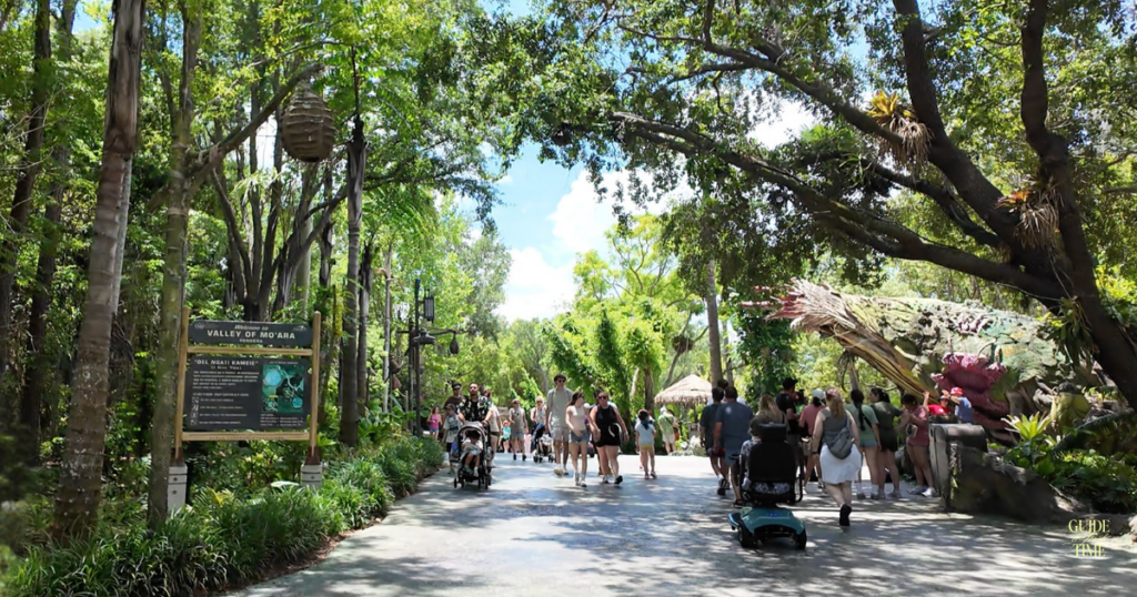 Entrance to Pandora, Animal Kingdom
