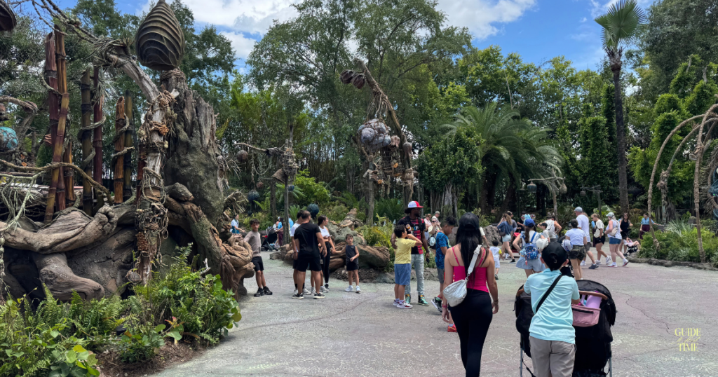 Pandora early in the morning at Disney's Animal Kingdom