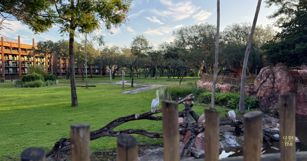 morning view of the savannah at Animal Kingdom Lodge